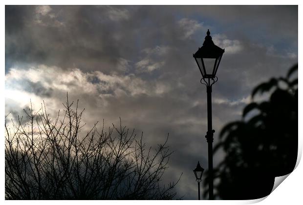 Sky cloud streetlamps and trees Print by Roy Hinchliffe