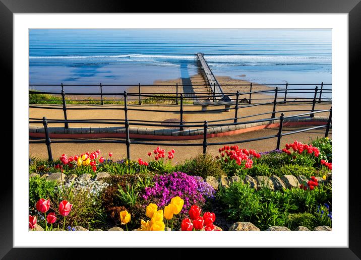 A Vibrant Coastal Escape Framed Mounted Print by Tim Hill