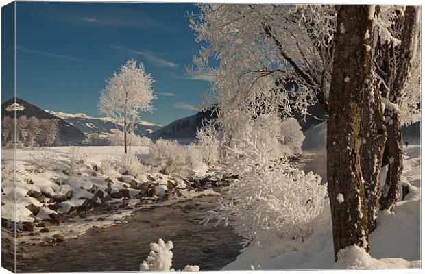Alpine winter morning Canvas Print by Thomas Schaeffer