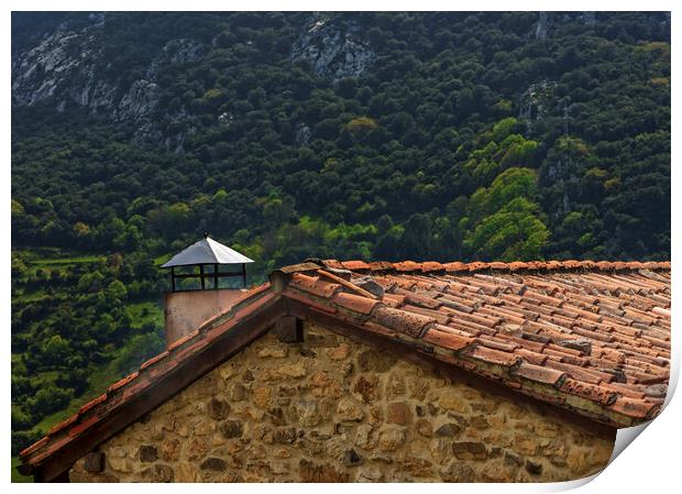 Photography with a town house and its chimney Print by Vicen Photo