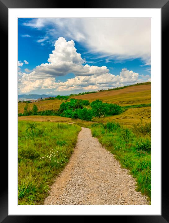 Photography with a colorful landscape on the Camino de Santiago de Navarra Framed Mounted Print by Vicen Photo