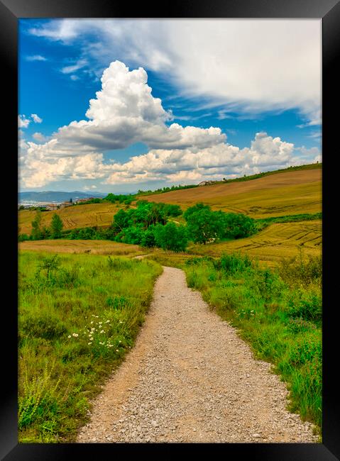 Photography with a colorful landscape on the Camino de Santiago de Navarra Framed Print by Vicen Photo