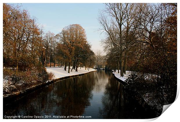 Snow covered Bruges Print by Caroline Opacic