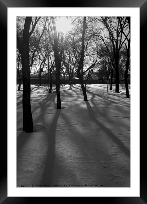 Winter Sun Framed Mounted Print by STEPHEN THOMAS