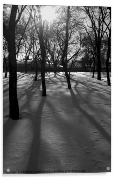 Winter Sun Acrylic by STEPHEN THOMAS