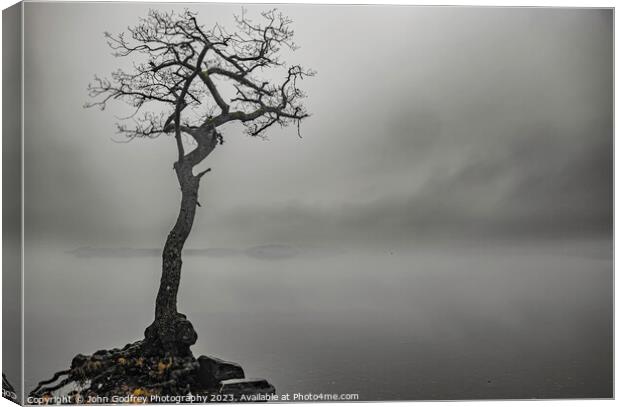 Milarrochy Lone Tree Canvas Print by John Godfrey Photography