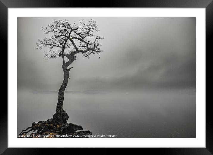 Milarrochy Lone Tree Framed Mounted Print by John Godfrey Photography
