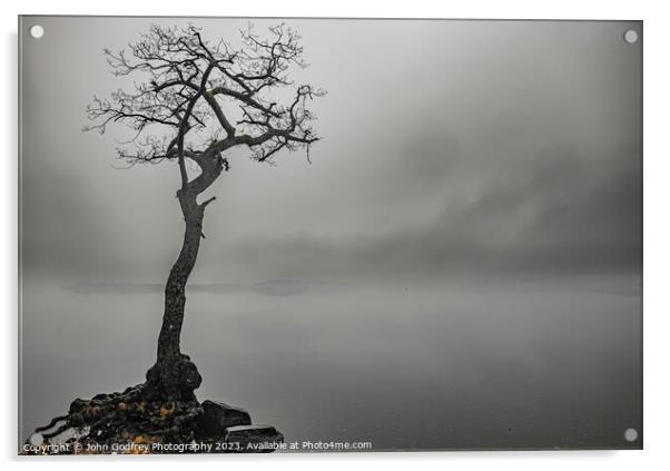 Milarrochy Lone Tree Acrylic by John Godfrey Photography