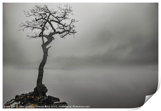 Milarrochy Lone Tree Print by John Godfrey Photography