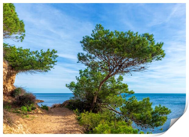 Photography with a path along the Mediterranean Sea in Atmella de Mar Print by Vicen Photo