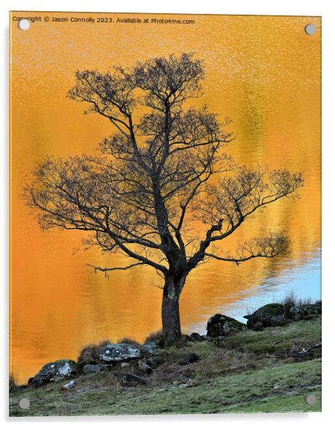 Tree, Rydalwater Acrylic by Jason Connolly