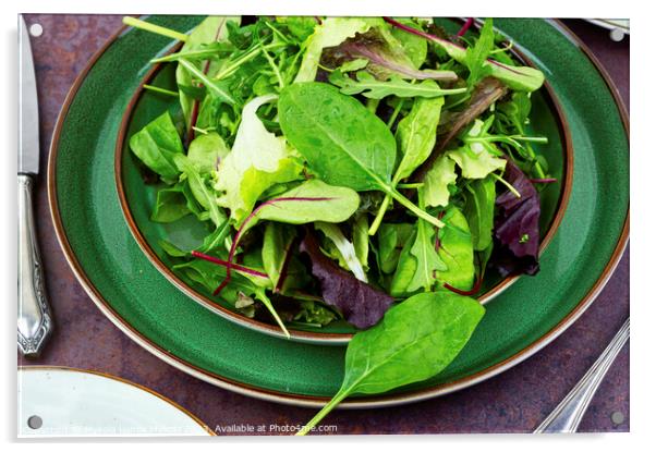 Fresh salad with mixed greens Acrylic by Mykola Lunov Mykola