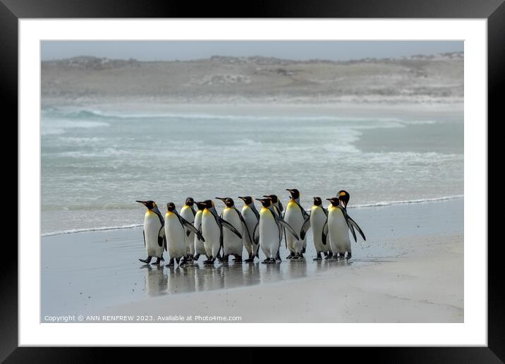 The March of the Penguins Framed Mounted Print by ANN RENFREW