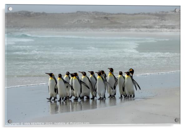 The March of the Penguins Acrylic by ANN RENFREW