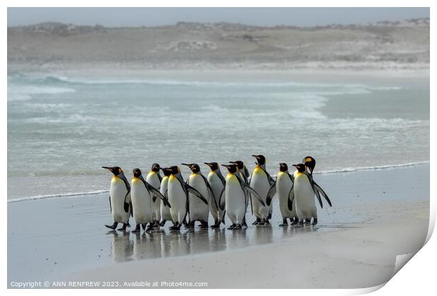 The March of the Penguins Print by ANN RENFREW