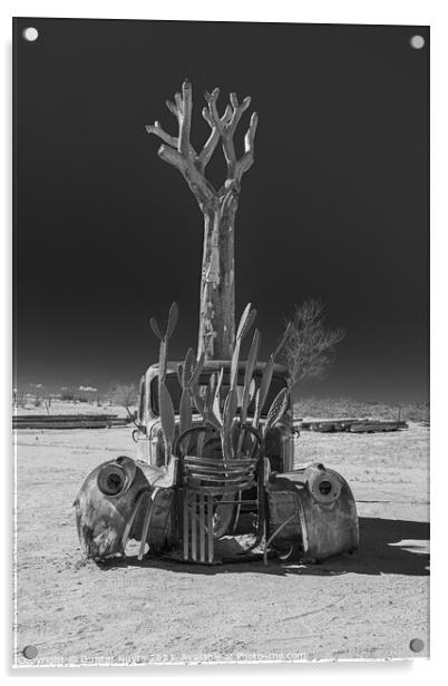 Abandoned car in Namibia Acrylic by Gunter Nuyts