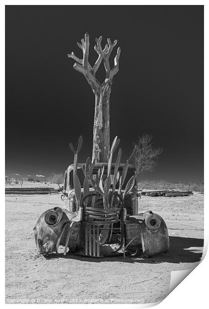Abandoned car in Namibia Print by Gunter Nuyts