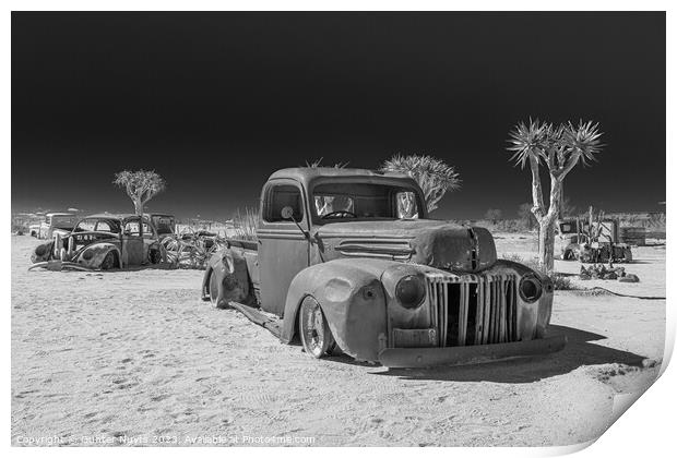 Abandoned car in Namibia Print by Gunter Nuyts