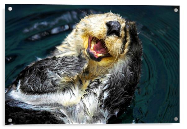Sea Otter (Enhydra Lutris) Acrylic by Fabrizio Troiani