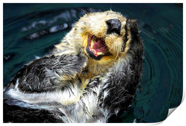 Sea Otter (Enhydra Lutris) Print by Fabrizio Troiani