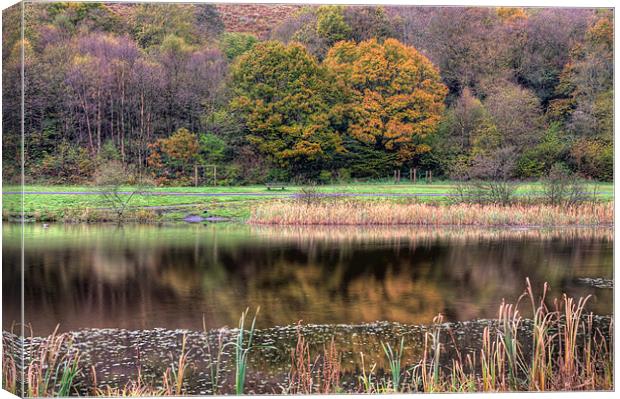 Parc Cwm Darran Canvas Print by Steve Purnell