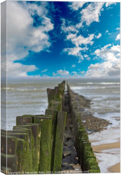 North Sea with wooden poles in a cloudy and windy day at Breskens Canvas Print by Sebastian Radu