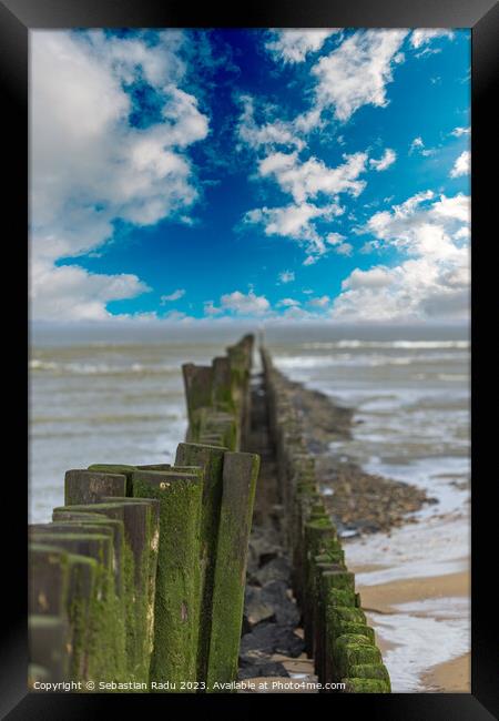 North Sea with wooden poles in a cloudy and windy day at Breskens Framed Print by Sebastian Radu