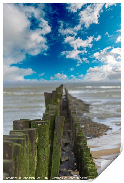 North Sea with wooden poles in a cloudy and windy day at Breskens Print by Sebastian Radu