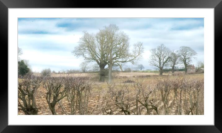 The winters morn Framed Mounted Print by Steve Taylor