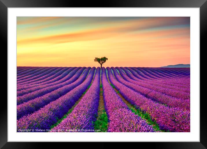 Lavender and lonely tree at sunset. Provence, France Framed Mounted Print by Stefano Orazzini