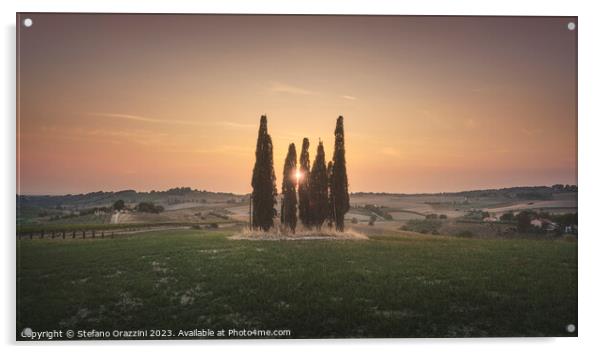 Sunset landscape in Alta Maremma. Rolling hills and cypress trees Acrylic by Stefano Orazzini