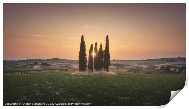 Sunset landscape in Alta Maremma. Rolling hills and cypress trees Print by Stefano Orazzini