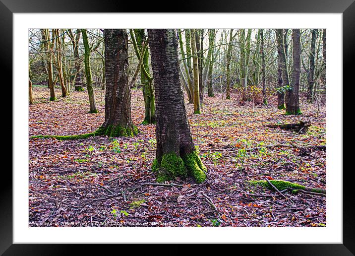 Right Roots Left Roots Framed Mounted Print by GJS Photography Artist
