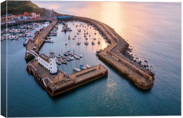 Scarborough Lighthouse and Harbour Canvas Print by Tim Hill