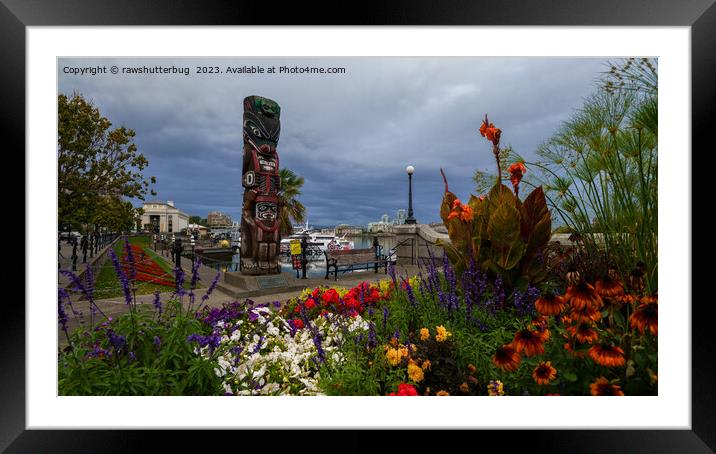 Victoria Harbour Vancouver Island Framed Mounted Print by rawshutterbug 