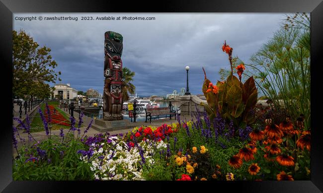 Victoria Harbour Vancouver Island Framed Print by rawshutterbug 
