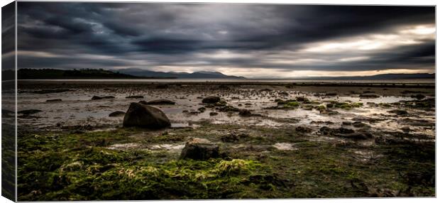 Isle of Bute study 2  Canvas Print by Steve Taylor