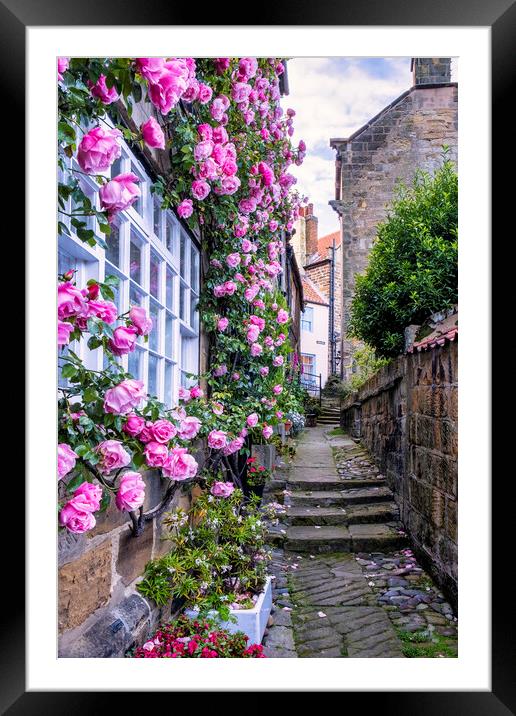 Enchanting Pink Roses Cottage Framed Mounted Print by Tim Hill