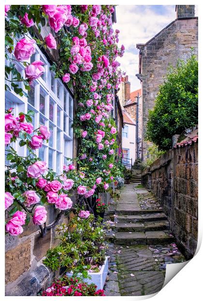 Enchanting Pink Roses Cottage Print by Tim Hill