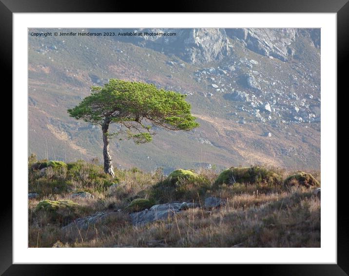 Lone Pine Tree Framed Mounted Print by Jennifer Henderson