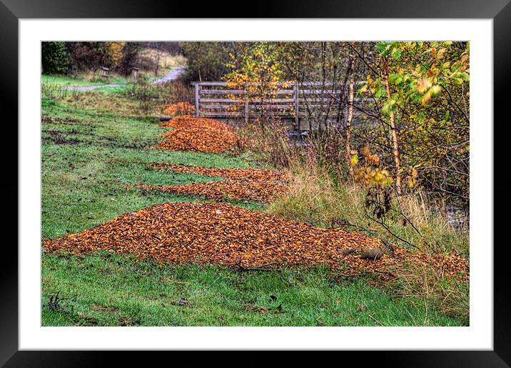 Autumn Clean Up Framed Mounted Print by Steve Purnell