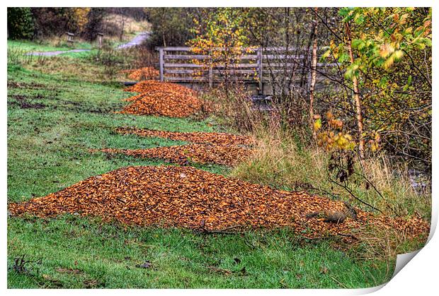 Autumn Clean Up Print by Steve Purnell