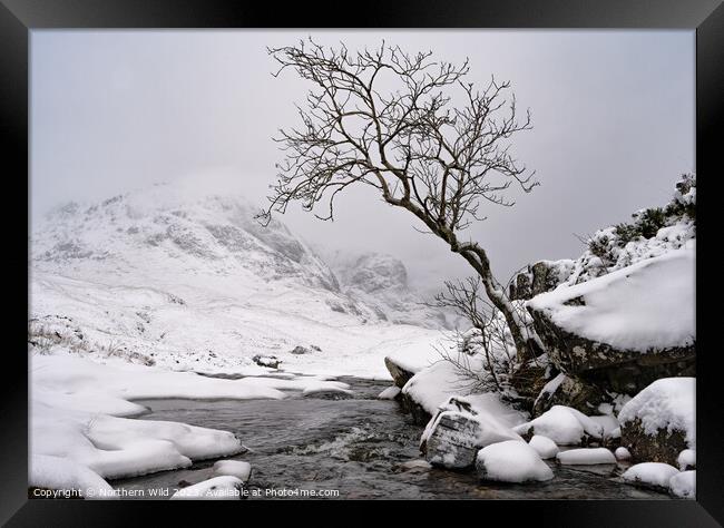 Winter Glenco Scottish Highlands Framed Print by Northern Wild