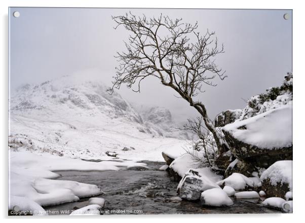 Winter Glenco Scottish Highlands Acrylic by Northern Wild