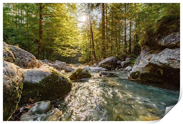 Little river between rocks in the forest Print by Balázs Tóth