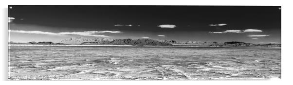Panoramic view of the Salton sea California America Acrylic by Spotmatik 