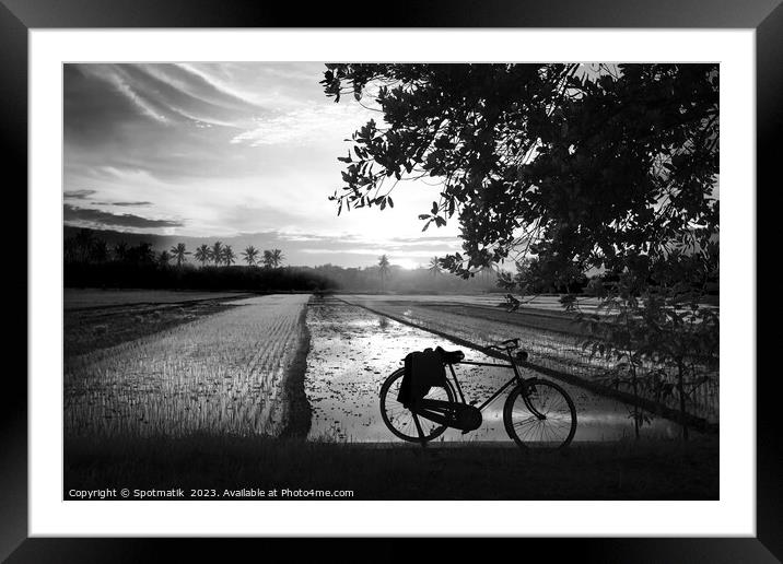 Sunset Java Indonesian bicycle rice paddy fields Asia Framed Mounted Print by Spotmatik 