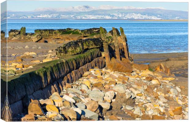 Hest Bank Jetty Reappears Canvas Print by Keith Douglas