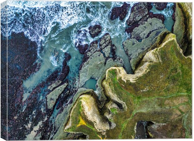 Majestic Cliffs of Flamborough Canvas Print by Tim Hill