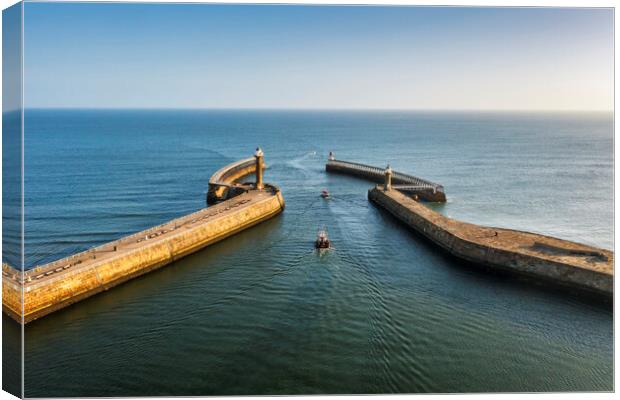 Whitby Harbour Entrance Canvas Print by Tim Hill
